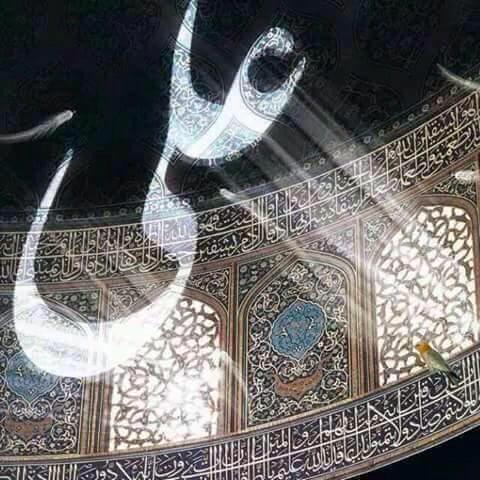 ~-.¸¸,.-~*..عيد الغدير..*•~-.¸¸,.-~*
بعشق محمدي 
وضياء علوي 
ونور فاطمي 
نبارك لكم هذه الليلة 
ونسألكم الدعاء