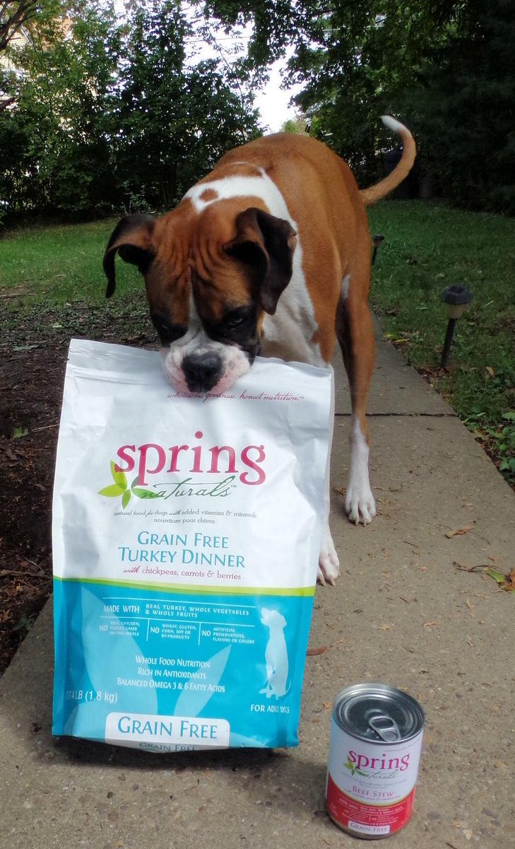 doggiemadness's tweet image. Mmm cant pawait 2 review these grain free @SpringNaturals dog food doggiedogmadness.blogspot.com/2015/09/sping-… #dogsoftwitter #dogs