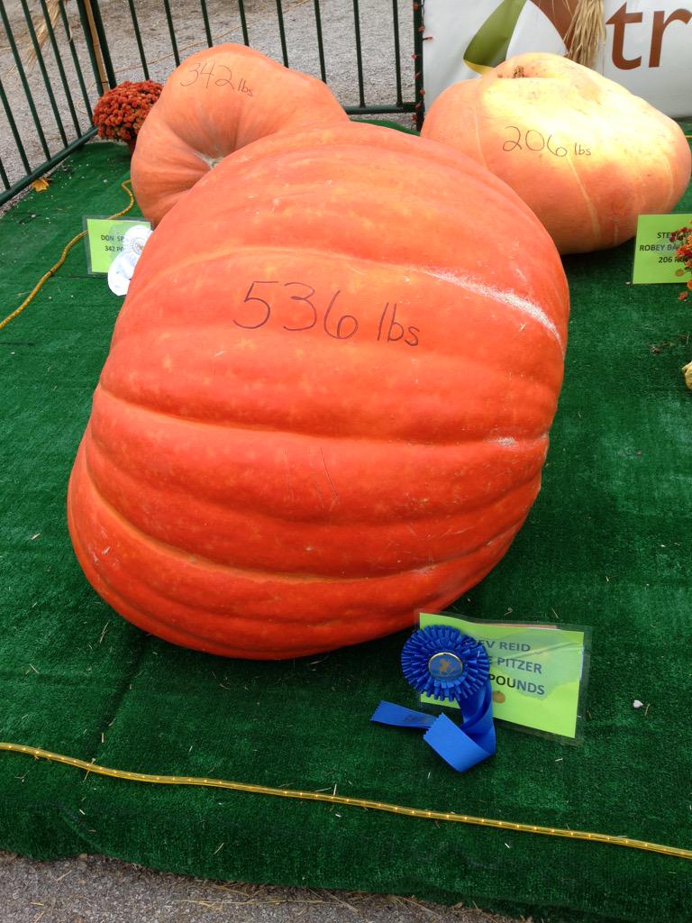 DanKarellVille's tweet photo. Just imagine how many Pumpkin Spice Lattes could be made from this. #PSL #BCf15 http://t.co/C191ImkOWG