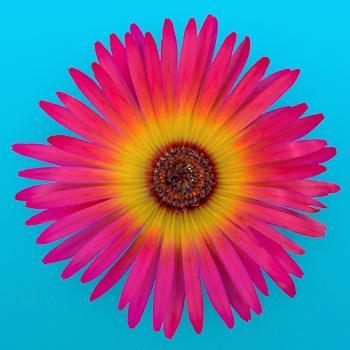 TwitProQuote | DreamDomains.in: How to Use Marketing Analytics to Get C-Suite Buy-In for… dlvr.it/CKFvrx