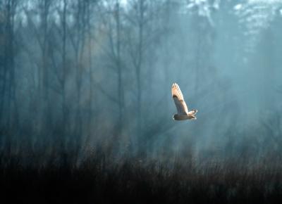 HopewellPrac's tweet photo. Sometimes we are looking for answers and do not know where to look.

http://t.co/oI73VyvKyK http://t.co/jjYFCspJfz
