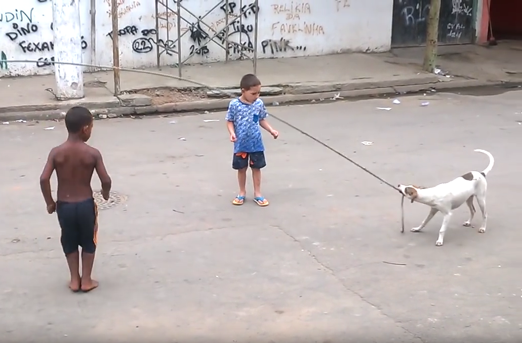 CBSViral's tweet photo. Watch this dog swing a jump rope for some kids in Brazil. It's awesome. #viral. @NDreports. https://t.co/c8qXv9o0ln http://t.co/f9kUqKF9p7