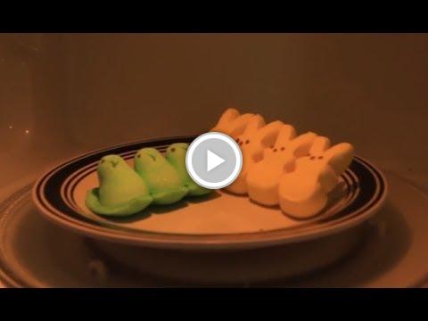 oldAvs1's tweet photo. Peep in Microwave - Happy Easter Experiment http://t.co/P0siBCD05Z #shaving #shaveoil http://t.co/vHck6aMdYK