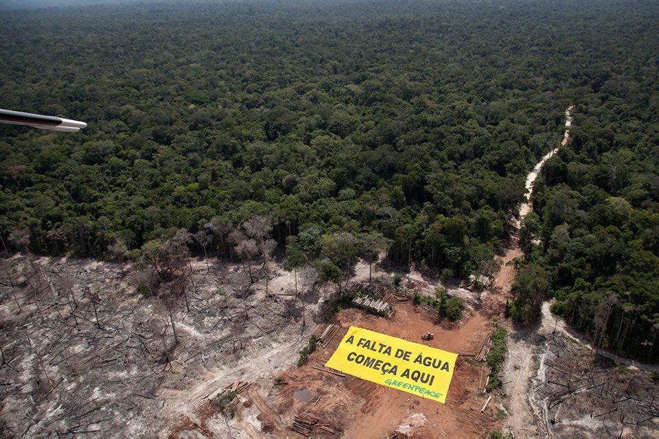 GreenpeaceCL's tweet photo. AHORA EN BRASIL: "La falta de agua comienza con la destrucción de los bosques" RT para apoyar. http://t.co/5TqBzb7WTG