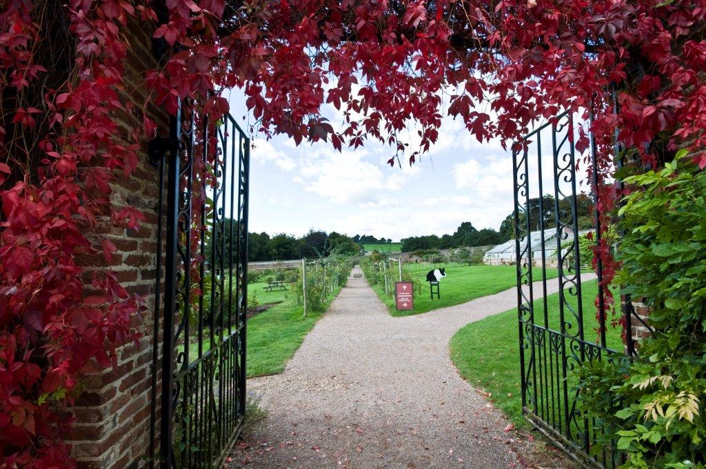 WildwoodDevon's tweet photo. Just loving this late #DevonSun the park changes character each season and is just on the cusp of autumn colour http://t.co/L1r45hcMVw