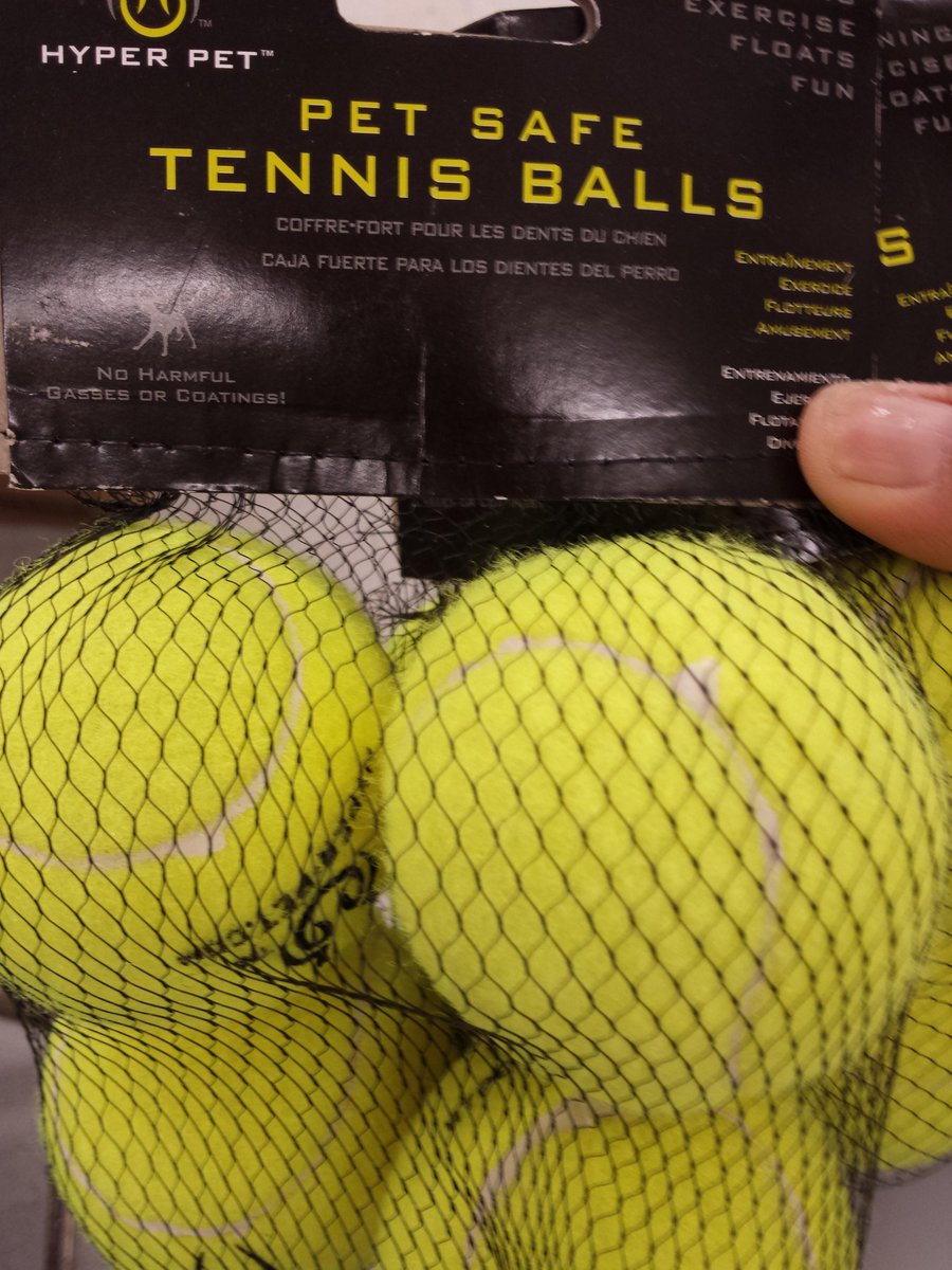 sulrossprclass's tweet image. @#safefordogs #keziah