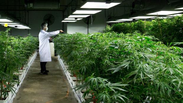 Pa. House task force submits recommendations for legalizing medicinal #marijuana 
post-gazette.com/news/politics-… #MME #cbd