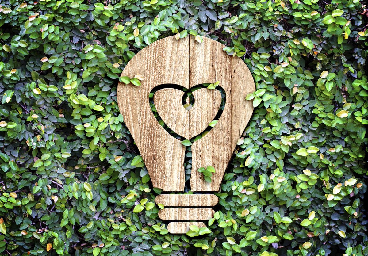 What is your #business doing to be #sustainable? #sustybiz