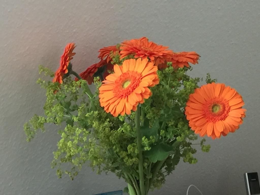 dreaMote's tweet photo. Since I opted to inform you, the issue is resolved now and received flowers to make up for it ;) http://t.co/RYp42RAAOc