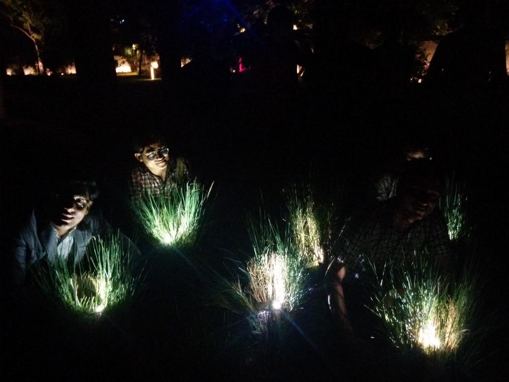 mghadiok's tweet image. One in hand one in bush @ vis a vis, New Delhi, India
#ialdchasedark
#chasethedarkwithmondoarc