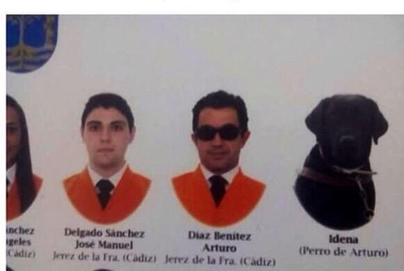 MarquesdCaceres's tweet photo. La @univcadiz coloca en la orla, al perro guía de un graduado invidente. Señores, me quito el sombrero 🎩 http://t.co/IwWHkuVCpj