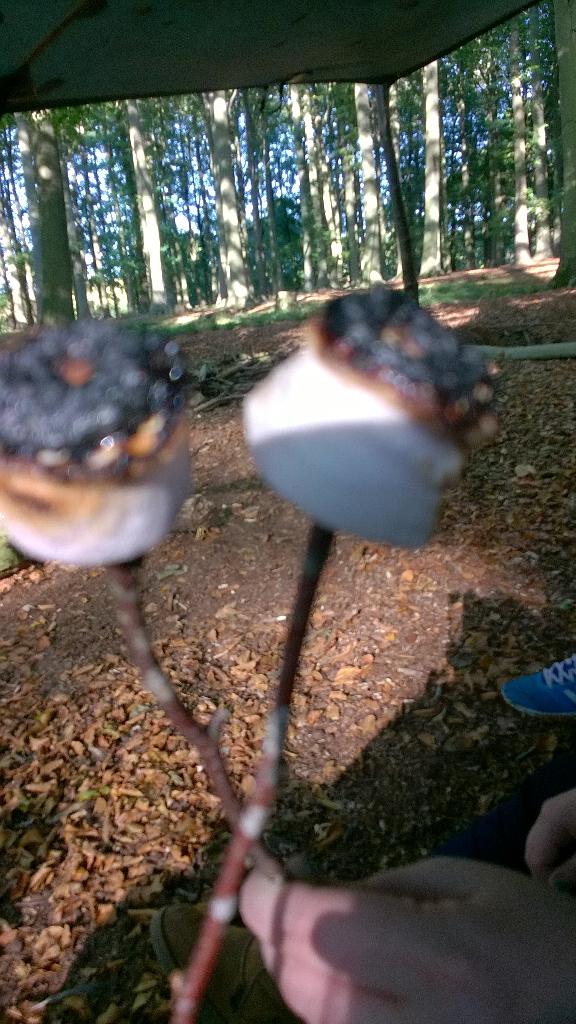 PRSBushcraft2015 tweet media
