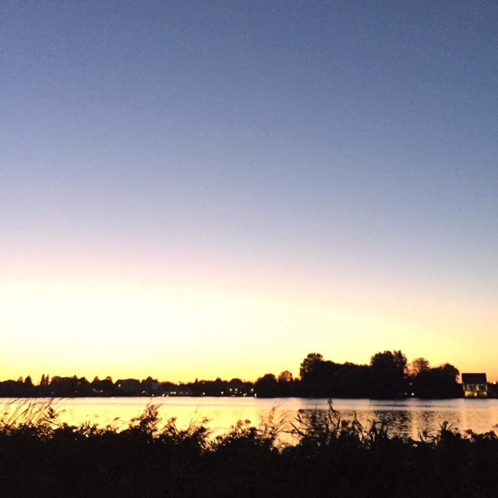 Yellow! Bergseplas...#010 #rotterdam <a href="/inHillegersberg/">inHillegersberg</a>
