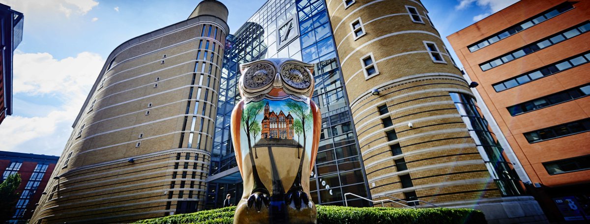 thebighoot2015 tweet picture