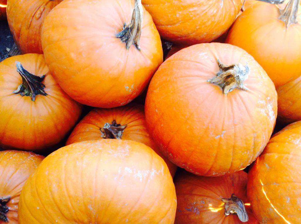 MontiMarket's tweet photo. Pumpkin time at montimarket! http://t.co/NKwBRfdxRt