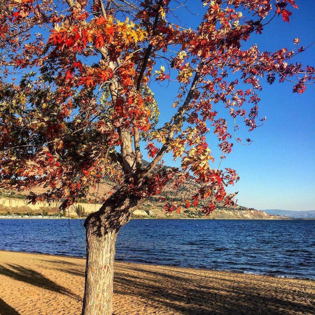 KarenBurnsBooth's tweet photo. Goodbye Penticton @visitpenticton what amazing hosts you were for #GoMedia2015 thanks so m… http://t.co/IfFaKAr3yw http://t.co/8Rv97Nw5sp