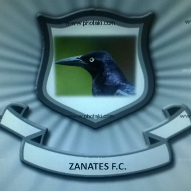 zonydio's tweet photo. Próximamente la nueva piel del equipo #todossomoszanates http://t.co/PuSAd2Bsuj