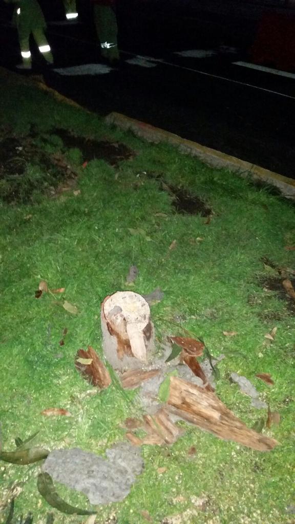 CopAComunitaria's tweet photo. #AlertaMixcoac el gobierno vuelve a talar árboles en la madrugada, a pesar de los riesgos el deprimido no se detiene http://t.co/ciYeZ6sUDR