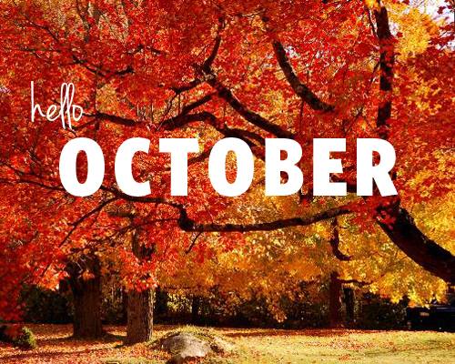 EnvironmentalEq's tweet image. Hello #October!! 
🍁🍃🍂🌿🎃