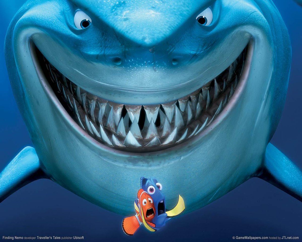 CanisiusAMA's tweet photo. Marketing Week aka Shark Week Starts on Monday!! Who's Ready?
#CCAMASharkWeek #CCAMA http://t.co/0PtWwW2IHv