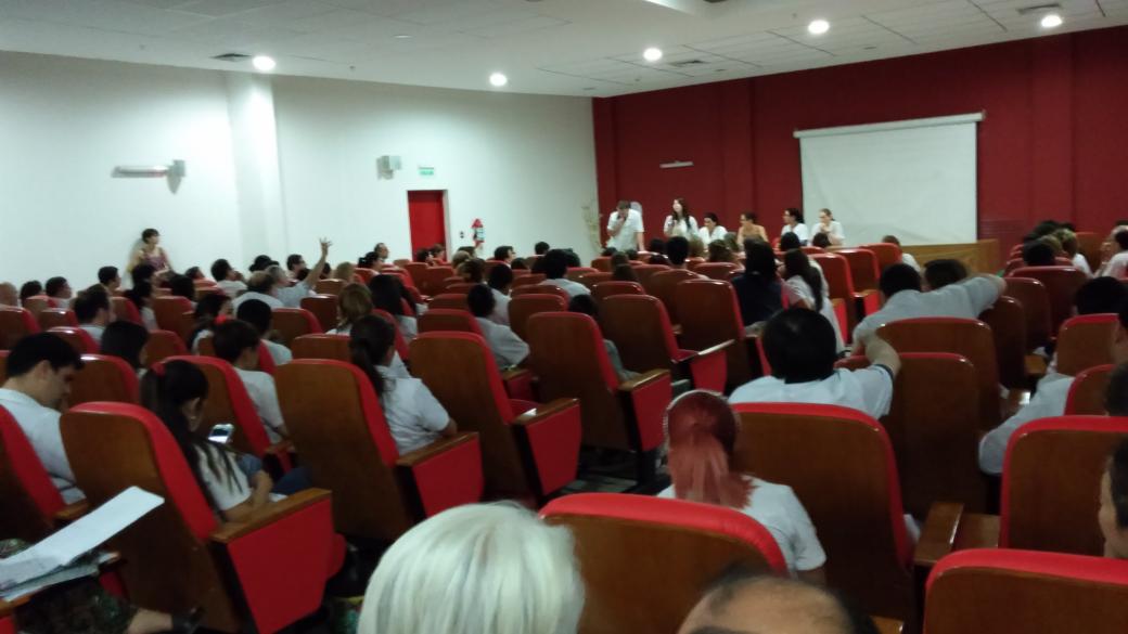 Castor M.D. tweet media