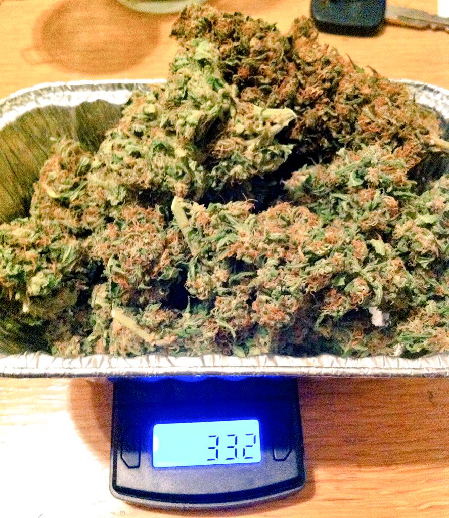 PandaCrew420's tweet photo. Good morning ^~^ with some #MojoKush and some #CandylandKush <3 http://t.co/IZ2tjRrknN