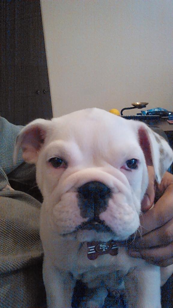 RPun's tweet image. #YungMax is #K9er since birth #SuiteSquadContest