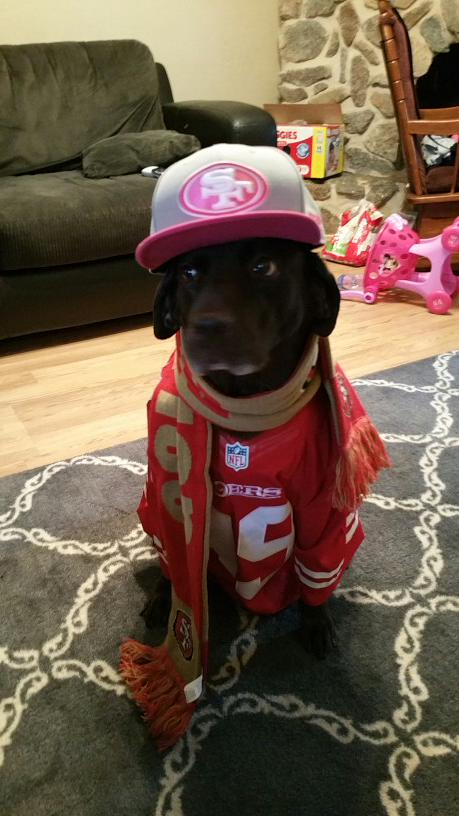 NORMeaga's tweet image. Maui #faithful #K9er #suitesquadcontest #breastcancerawareness #NFL #Lab #mansbestfriend #49ers