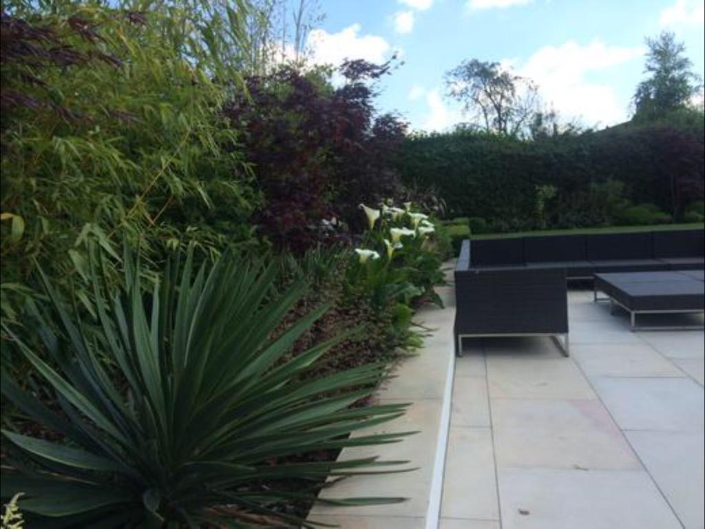 mark_latchford's tweet photo. Contemporary family garden @WildingDean @waycoolgardens @Coolgardenscarl http://t.co/AUDJfa3zqv
