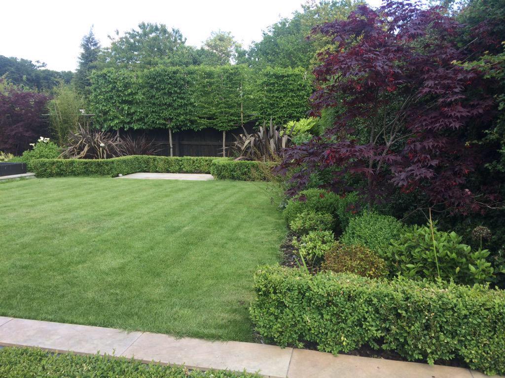 mark_latchford's tweet photo. Contemporary family garden @WildingDean @waycoolgardens @Coolgardenscarl http://t.co/AUDJfa3zqv