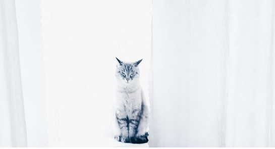 gogolnikola's tweet image. Что то я устал, а вы?