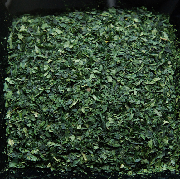 MatchaVibe's tweet photo. Green Tea leaves which have not yet been ground into the fine powder of #Matcha are known as Tencha. #matchafact http://t.co/O7kMHPOE43