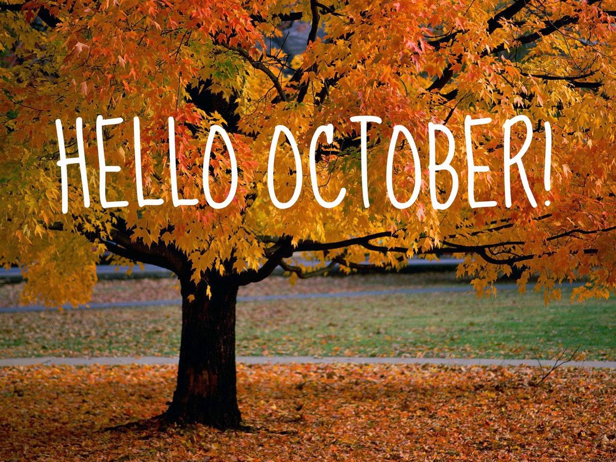 smileswestside's tweet photo. October is #NationalOrthodonticHealthMonth! Orthodontic treatment can have a positive impact on long-term de http://t.co/HOAegKnKfO
