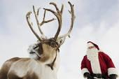 TheFoxBurwell's tweet photo. Burwell Christmas Fair 2015 - http://t.co/UThwfwYFyn http://t.co/RQ4z54n35d