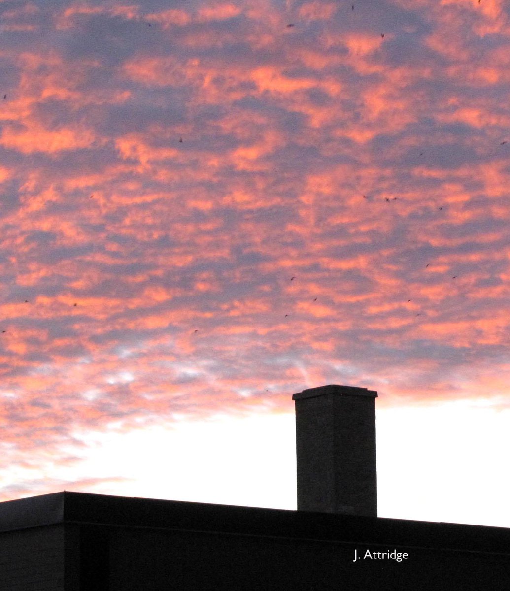 OntarioSwifts's tweet image. Beautiful #sunsets are a definite perk of being a #SwiftWatch volunteer!