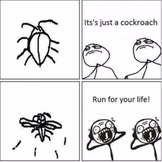 FactPestControl's tweet photo. Pest Control to the Rescue!

We got everything under control, give us a call today! 

#PestControlServices... http://t.co/8jiEuSj3ko