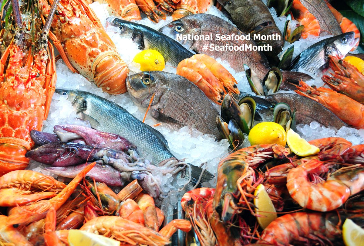 FISH & MEN tweet media