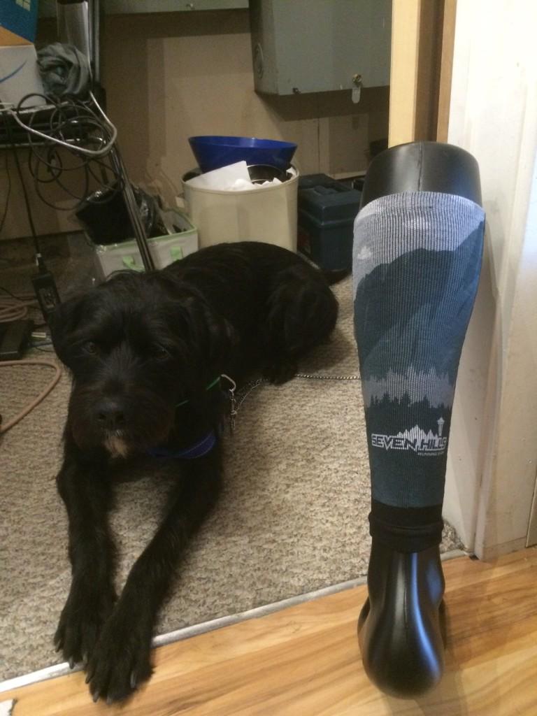 7HillsRunShop's tweet photo. New @fitsok custom calf sleeves arrived just in time for the @promotionevents #RunTheBluff 5k/10k this Sunday! https://t.co/RMD8Z1EoMh