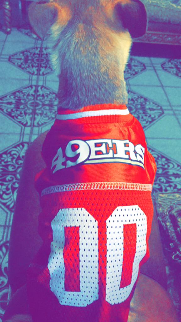 KingGuerra_'s tweet image. &apos;Chancho&apos; ready for Sunday! @49ers #NinerNation #K9er #SuiteSquadContest 💪❤️💛🏈🐶