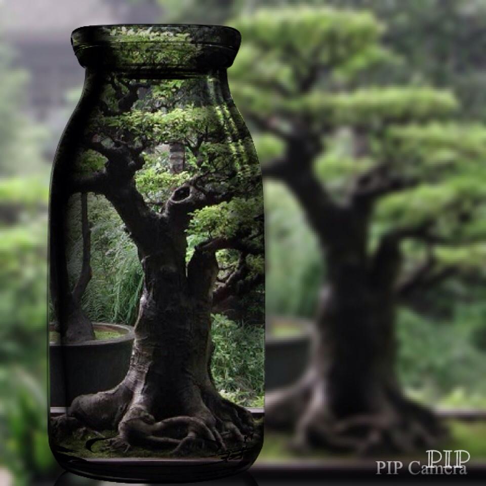 goerick's tweet image. Si tan sólo pudiéramos envasar las cosas maravillosas de la vida para aquellos momentos en que más nos hacen falta.