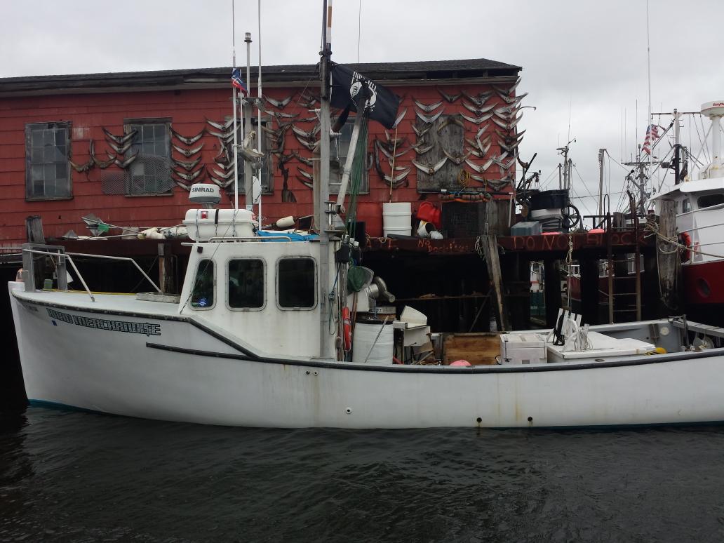 jdmlsdave's tweet photo. @CaptMarciano stopped by today but missed you! HardMerch is a beast !! Tails on the wall are so wicked!! #glosta http://t.co/50qXEateOe