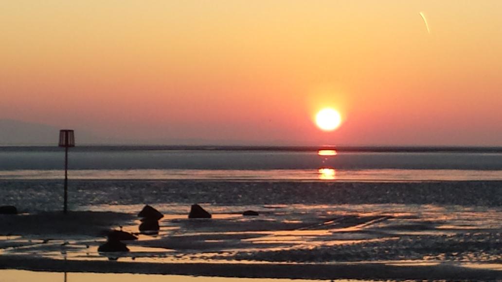 Claire 🌻 tweet media