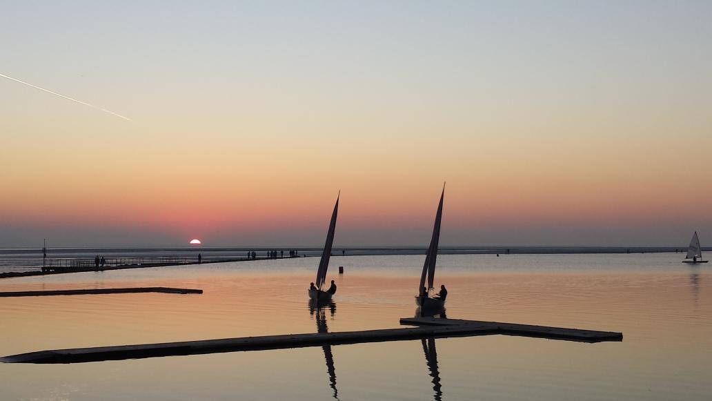 Claire 🌻 tweet media