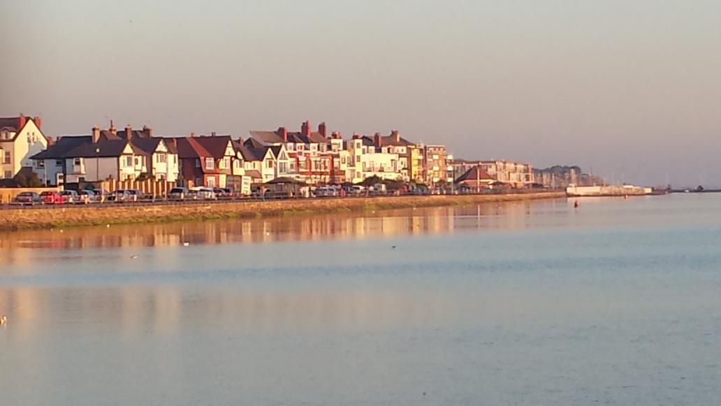 Claire 🌻 tweet media