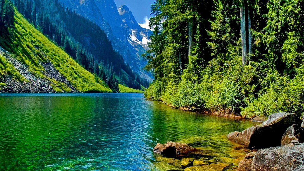RedditHead's tweet photo. HD Wallpaper River [1920x1080]

submitted by meettalha[link] [comment] https://t.co/HZDlA4WQxn