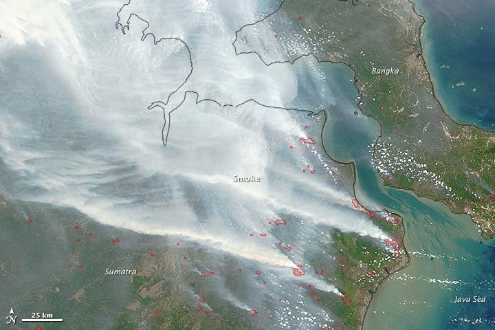 NASAEarth's tweet photo. NASA photo reveals Asia’s choking haze https://t.co/8WHOvTJMGs https://t.co/MK9Z6vAvxs Via @mongabay https://t.co/FcCjEdokak