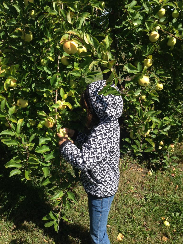daughtrv's tweet photo. Apple picking at the Orchard🍎 #TheApaceWay https://t.co/8hHl57RpfK