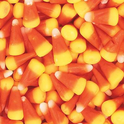 heatherhughes09's tweet photo. It's October. Feel free to enjoy all the Octobery things. https://t.co/7G8SlYkuwP