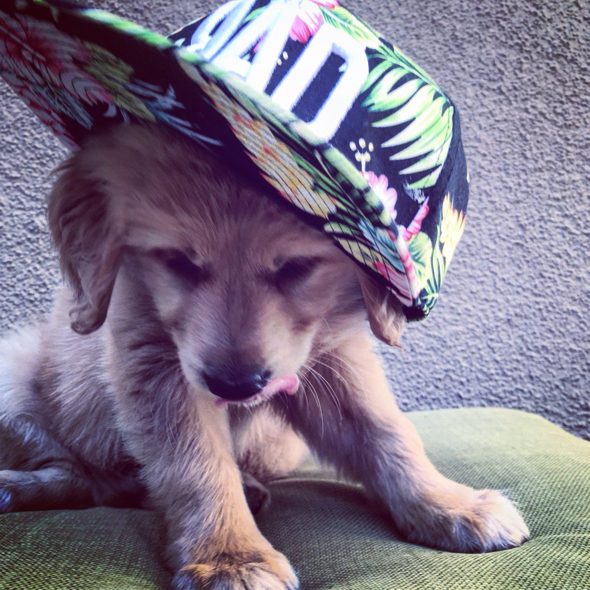 Not all Bad Kids are humans ... :) #puppylove