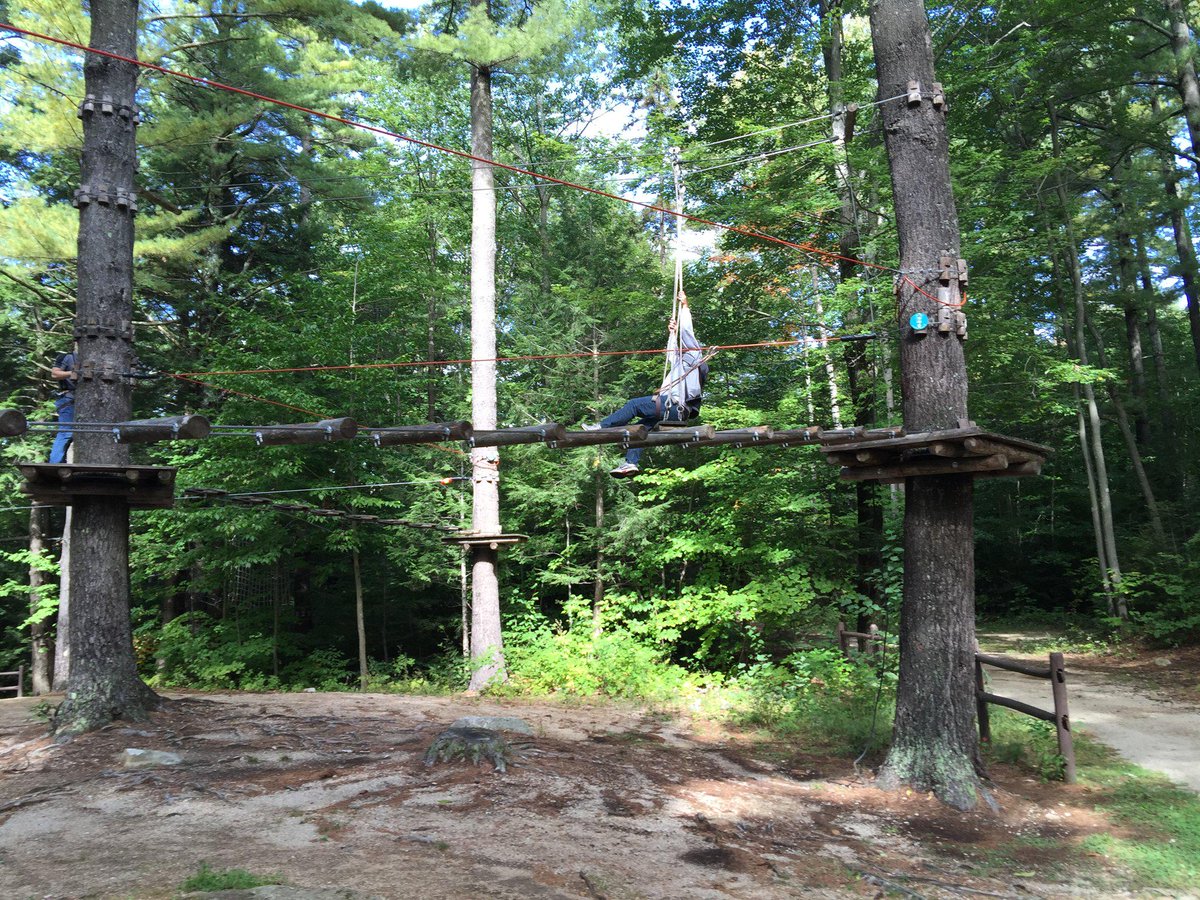 scribesoft's tweet image. So fun! #scribevibe